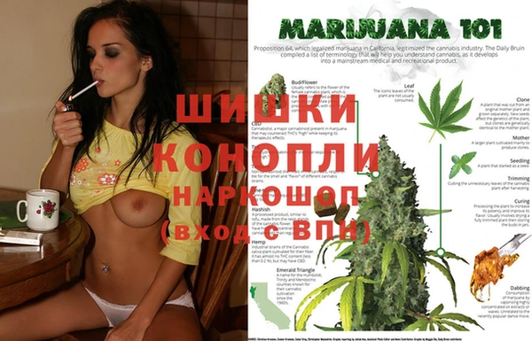 MESCALINE Инта