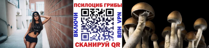 Купить  Бежецк  Галлюциногенные грибы мицелий 